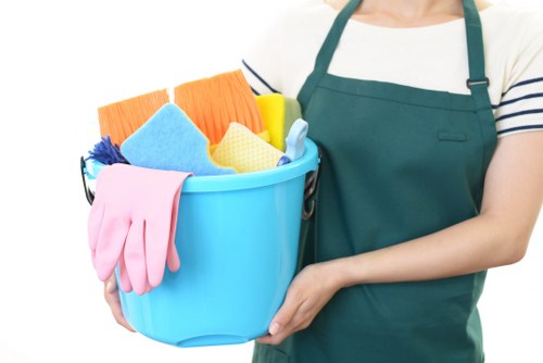 Professional sofa cleaning service for homes in Westkensington