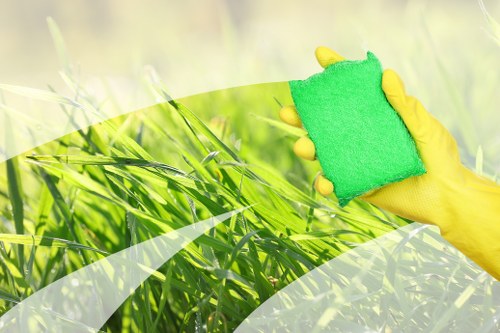 Detailed carpet maintenance in West Kensington for homes and businesses