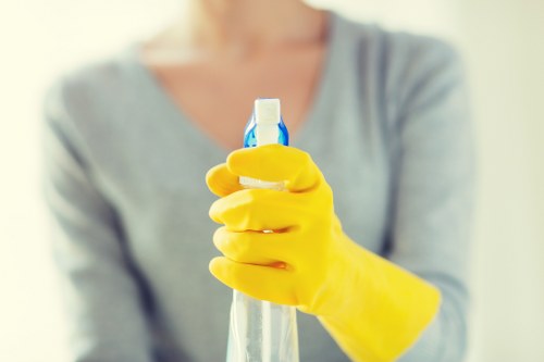 Local Westkensington cleaners handling a full property deep clean