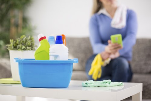 Careful cleaning of upholstery and fabric furniture in Westkensington