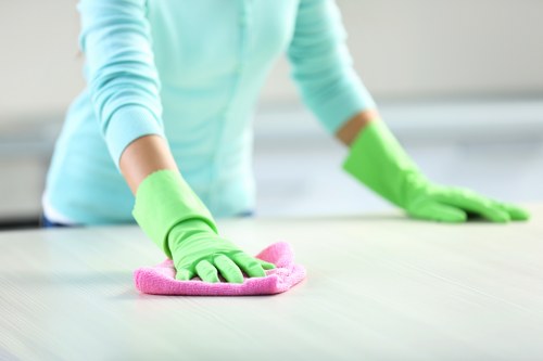 Window cleaning service for flats and mixed-use properties in Westkensington