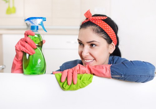 Carpet cleaning service in West Kensington focusing on stain removal and fabric care